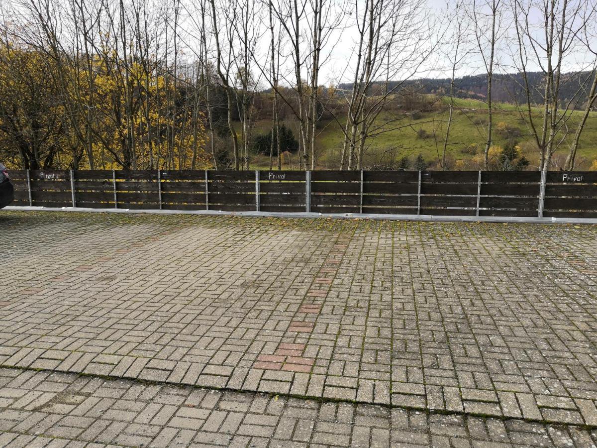 Gemütliche Ferienwohnung D'n Uitkijk - Willingen Willingen  Exterior foto
