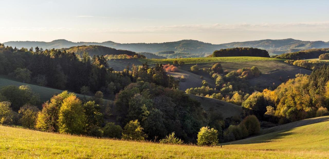 Gemütliche Ferienwohnung D'n Uitkijk - Willingen Willingen  Exterior foto